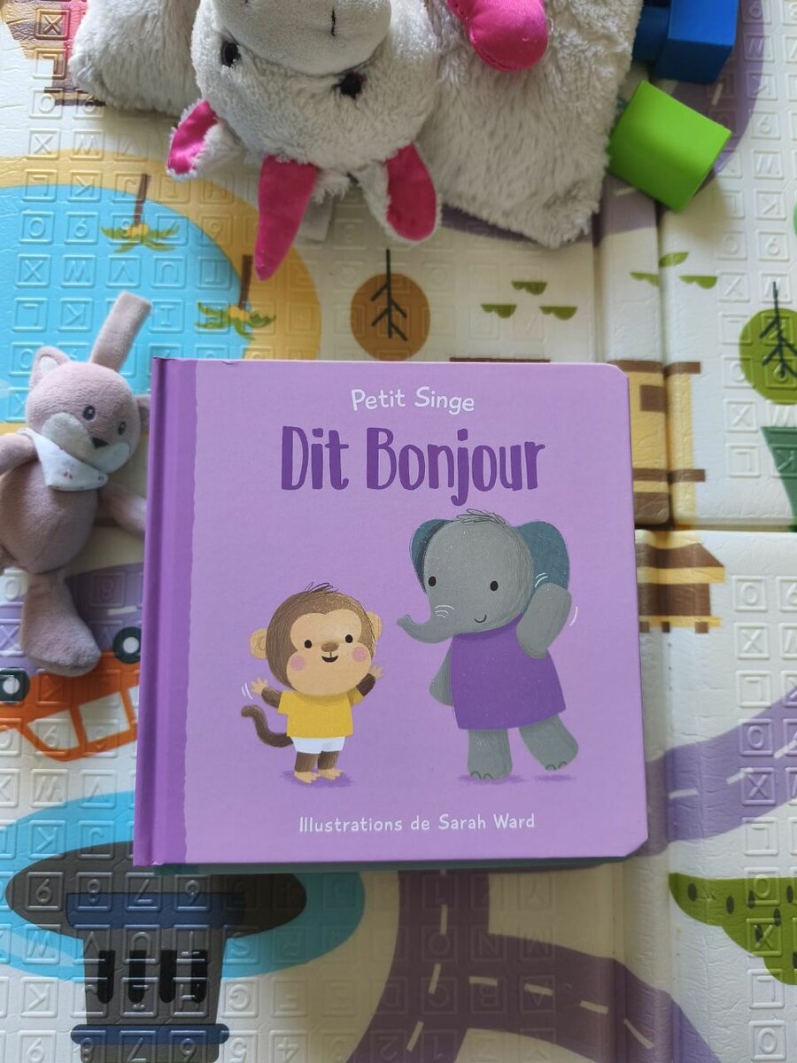 Livres pour enfants Petit Singe