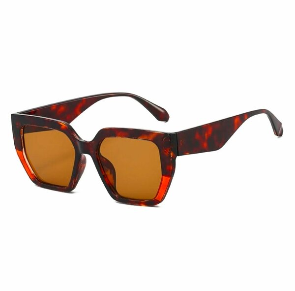 Couleur marron unique