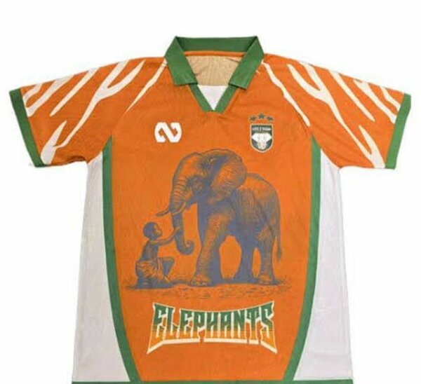 Maillot Éléphants Africains