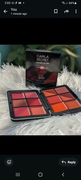 Creamy blush + creamy lipsticks