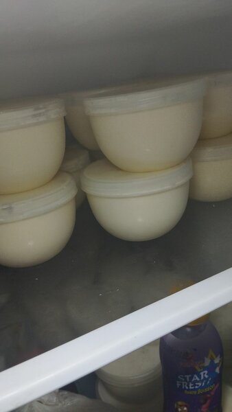 Yaourt crémeux fait maison