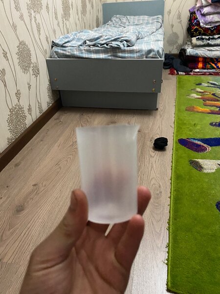 Паравой утюг