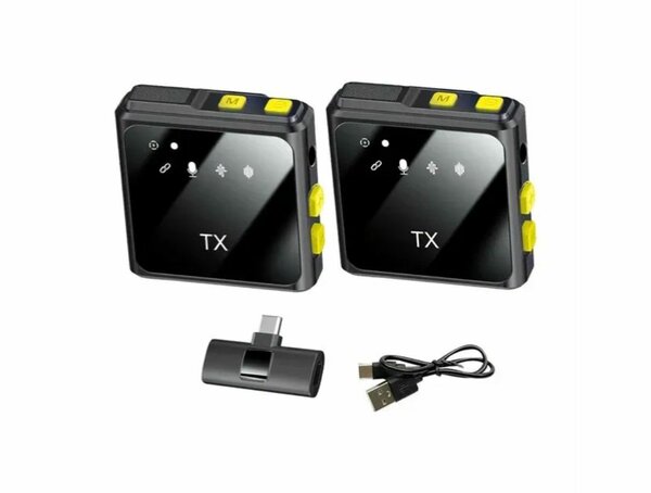 Microphones sans fil 2.4G