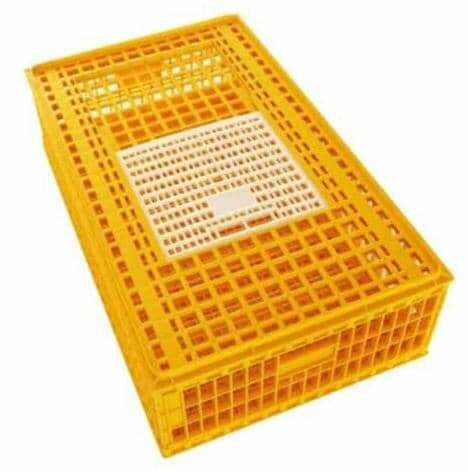 Caisse de transport 25 poulets