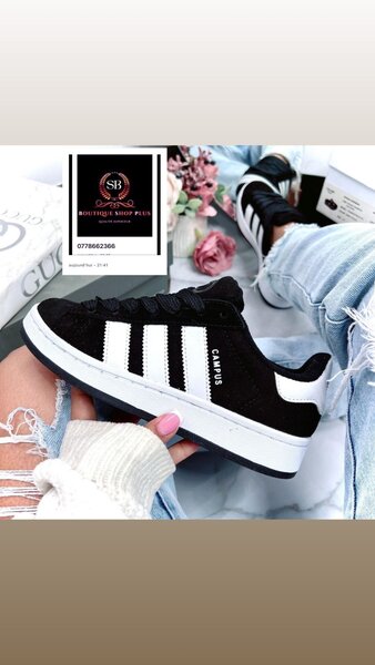 Basket adidas campus authentique dans carton