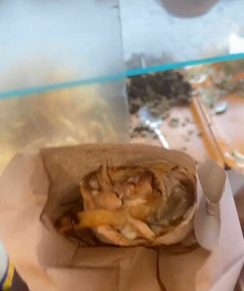 Délicieux Panini Grillé