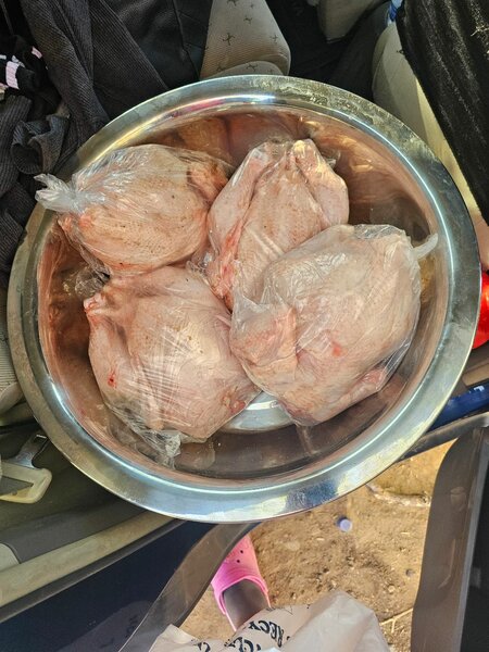 Chickens live and dressed going at K140