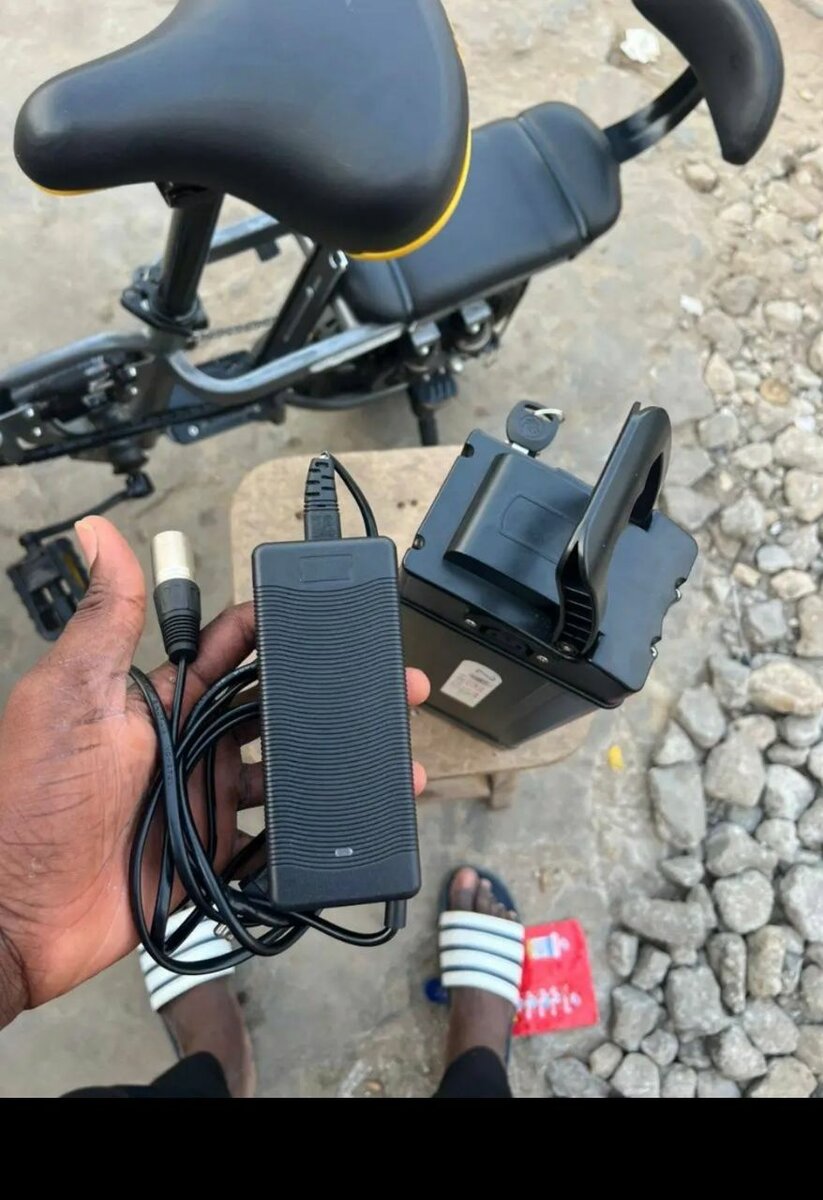 Vélo Électrique Pliable avec Chargeur