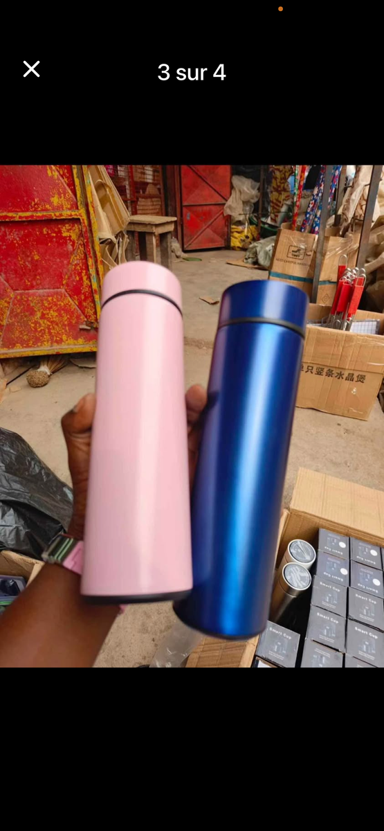 Gourde Thermos Inox Colorée