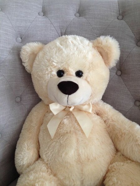 ALL SIZES OF TEDDY BEARS AVAILABLE