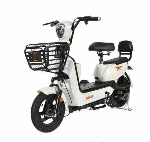 Tricycle électrique pour adulte
