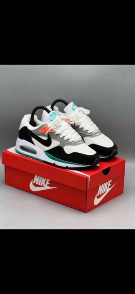 Baskets Nike Air Max élégantes