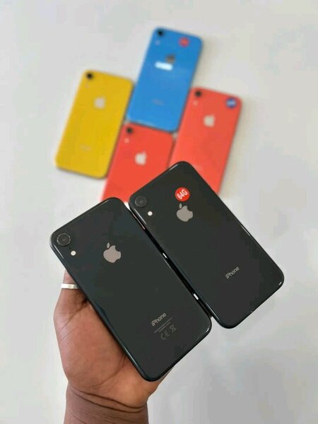iPhone XR Débloqué Multicolore
