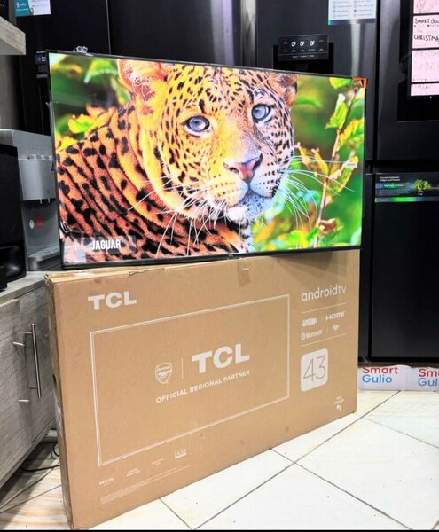 TCL Television