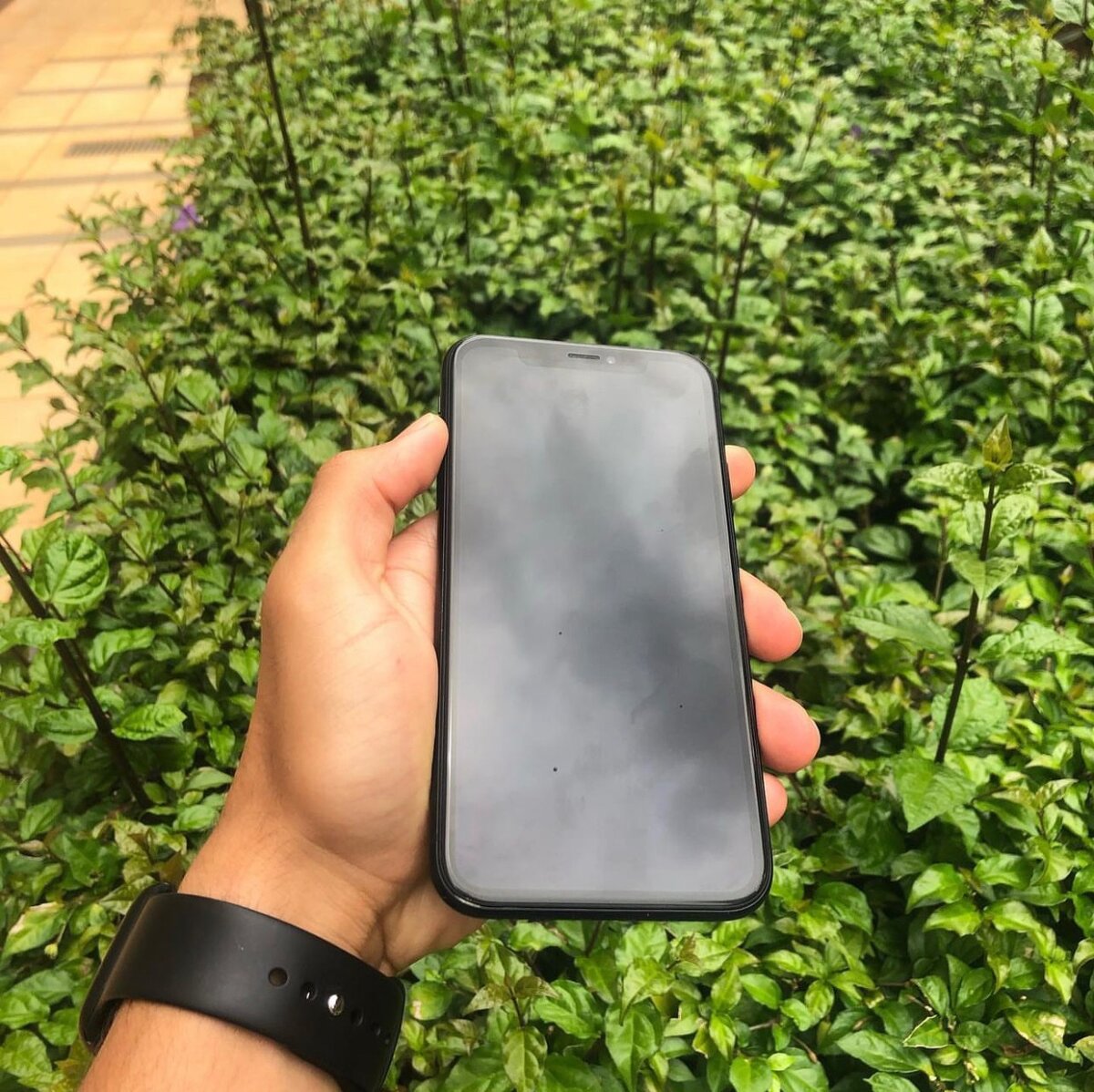 iPhone XR