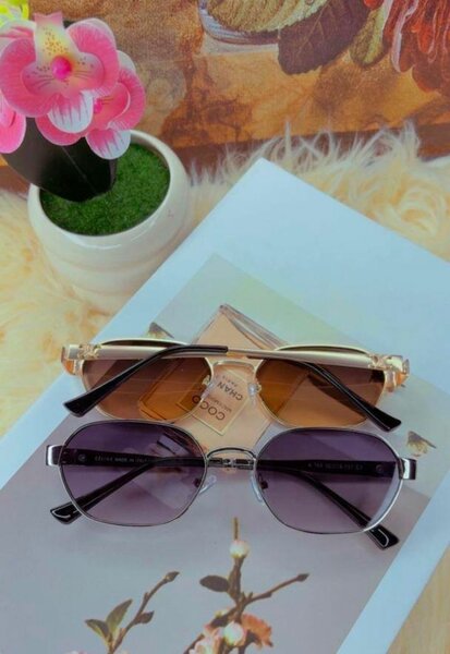 Lunettes de soleil élégantes