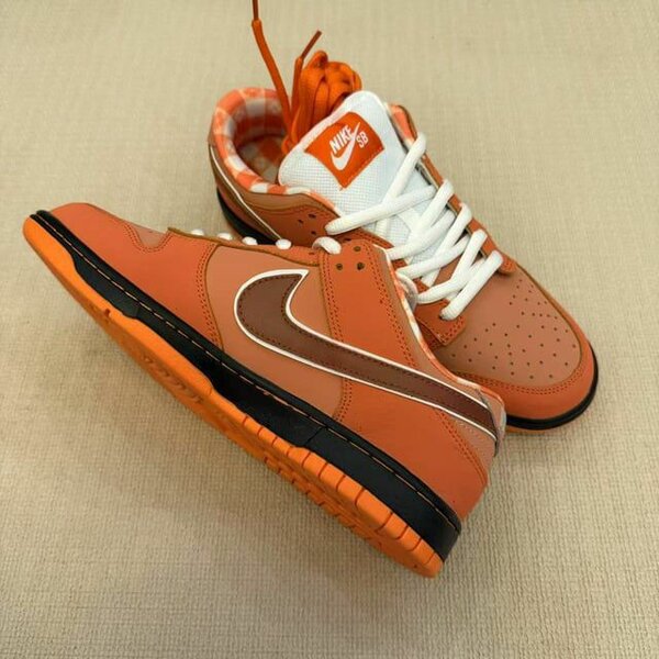 Nike SB Dunk Low Orange