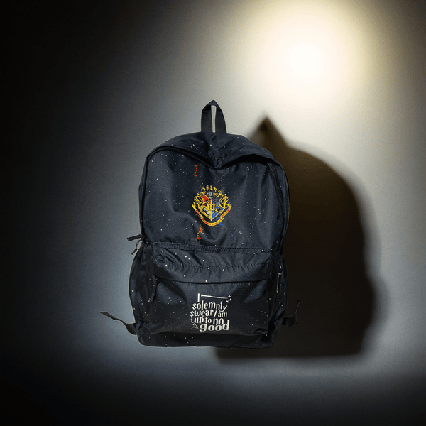 DB111 Harry Potter Allover Printed Backpack