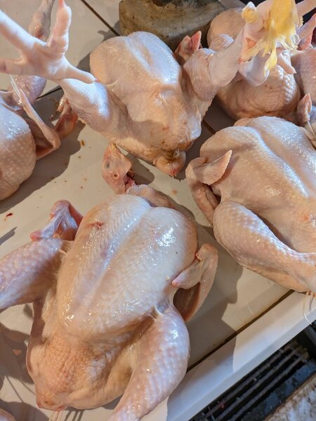 Poulet frais entier