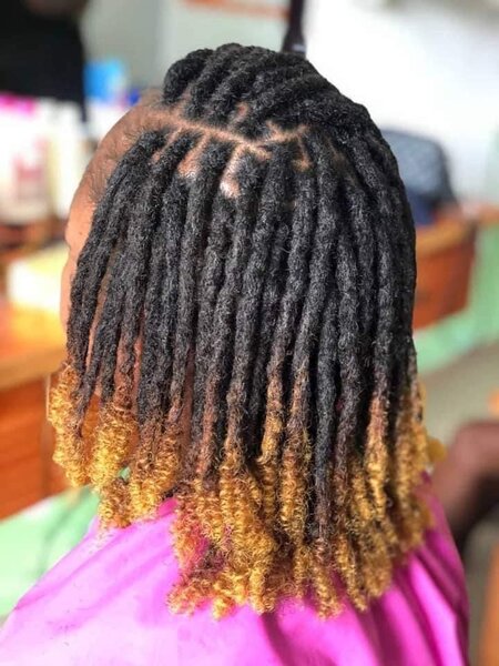 Dreadlocks Extensions Ombre Stylisées