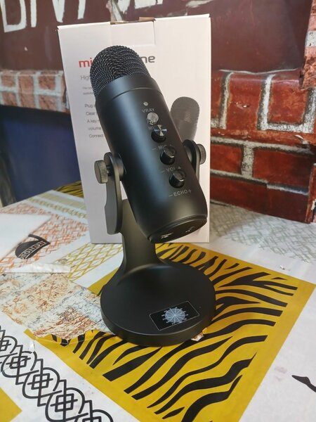 MICROPHONE PROFESSIONNEL