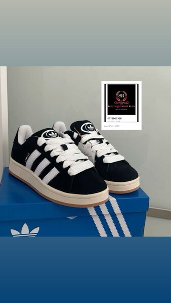 Adidas campus  authentique