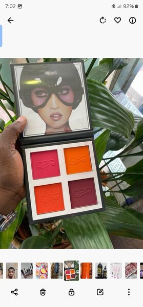 Vibrant Blush Palette
