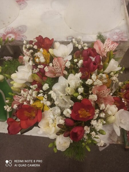 Фрезия в коробке