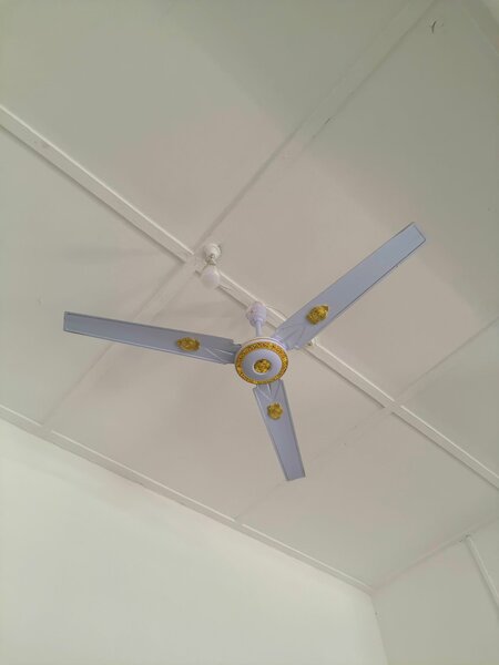 Celling fan