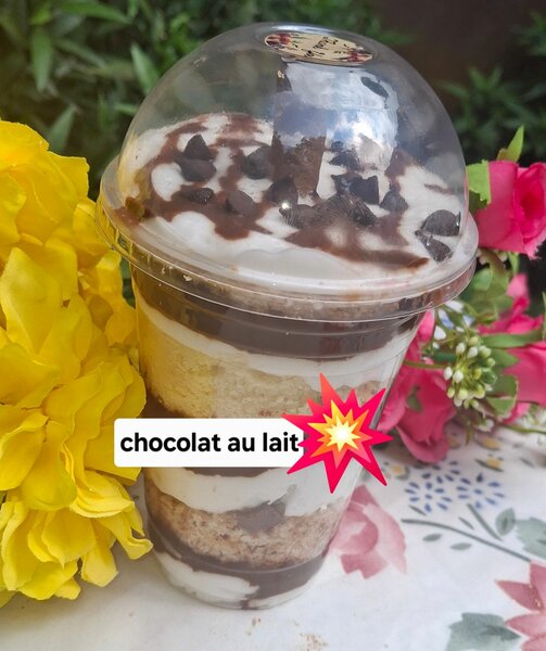 Chocolat au lait 500ml