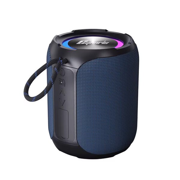 Enceinte Bluetooth Portable