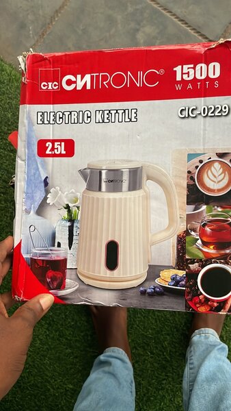 Electric kettle