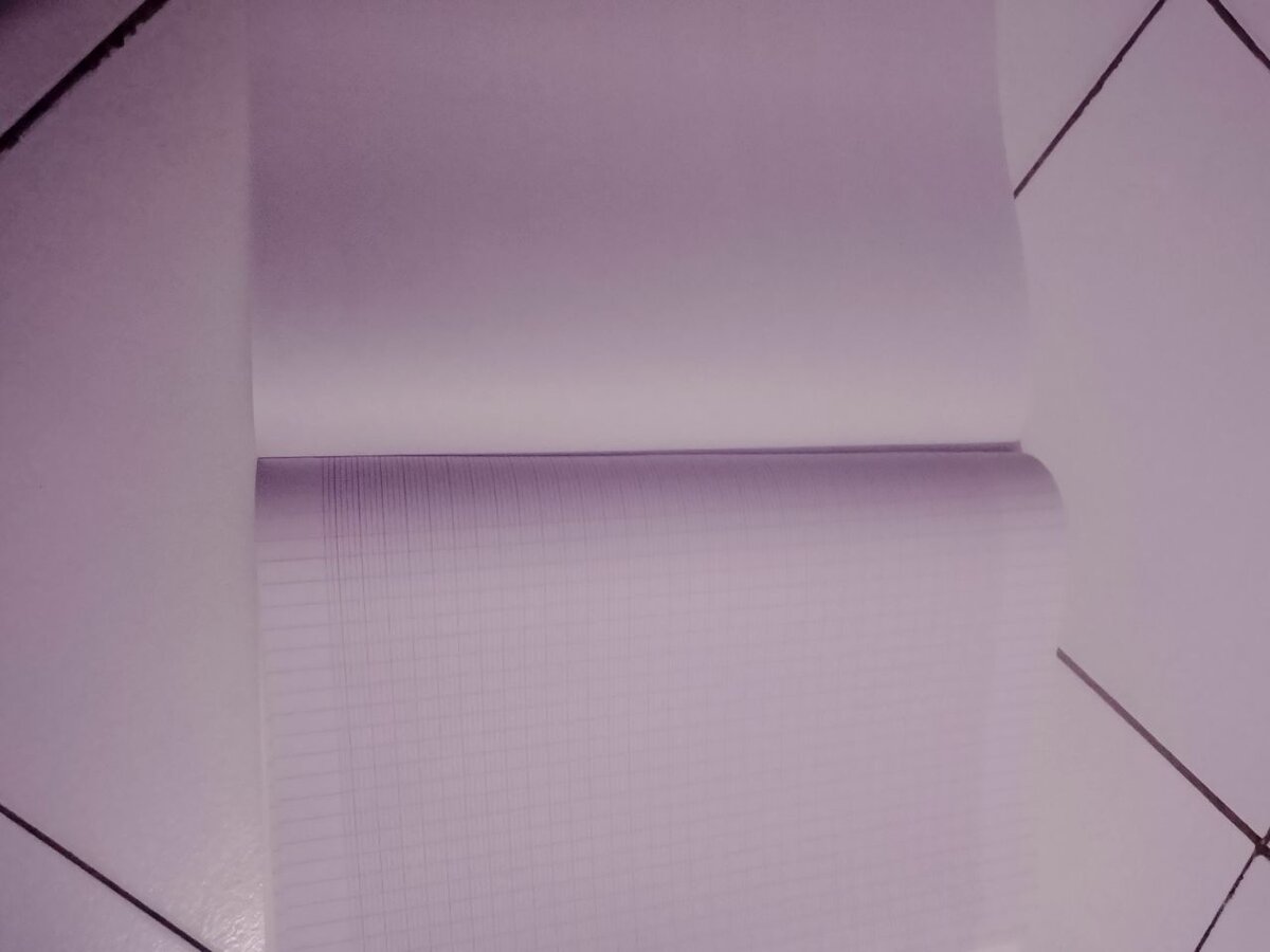 Cahier quadrillé 96 pages