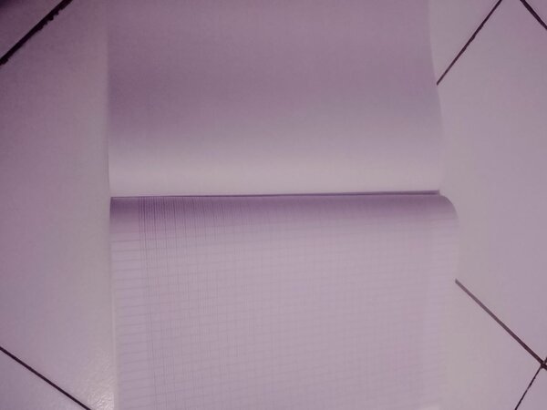 Cahier quadrillé 96 pages