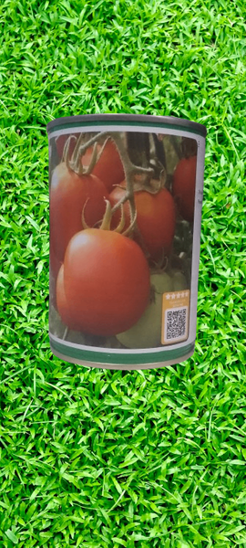 Semence de Tomate Cobra 26