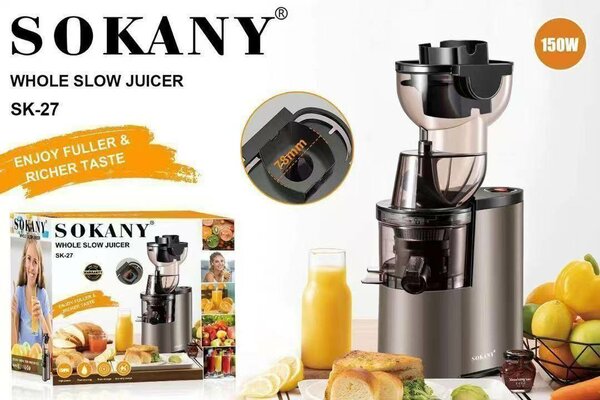 Slow juicer