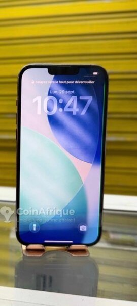 iPhone 13 Pro 256 Go