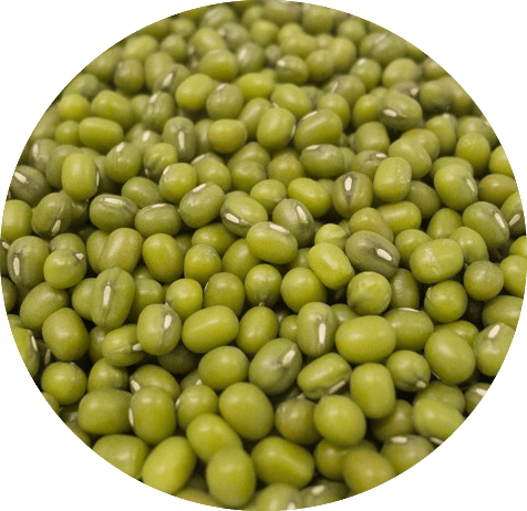 Haricots soja Vert Bio