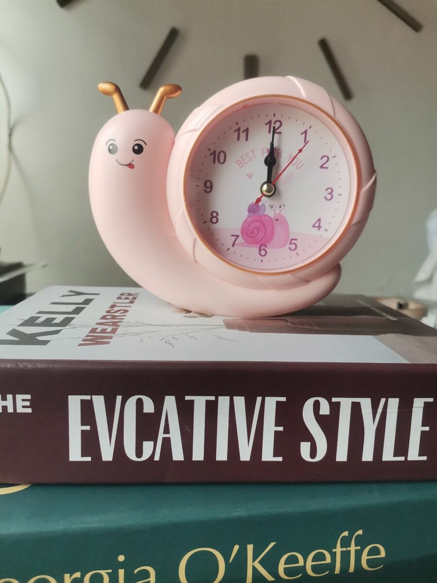 Cute snail alarm clock 4 decor