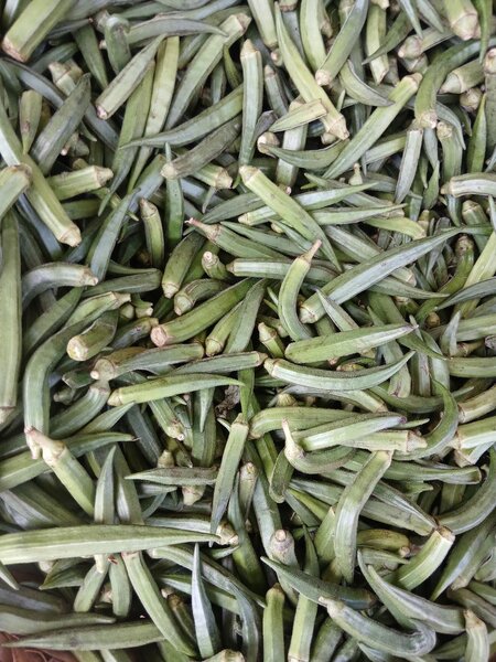 Gombo frais biologique