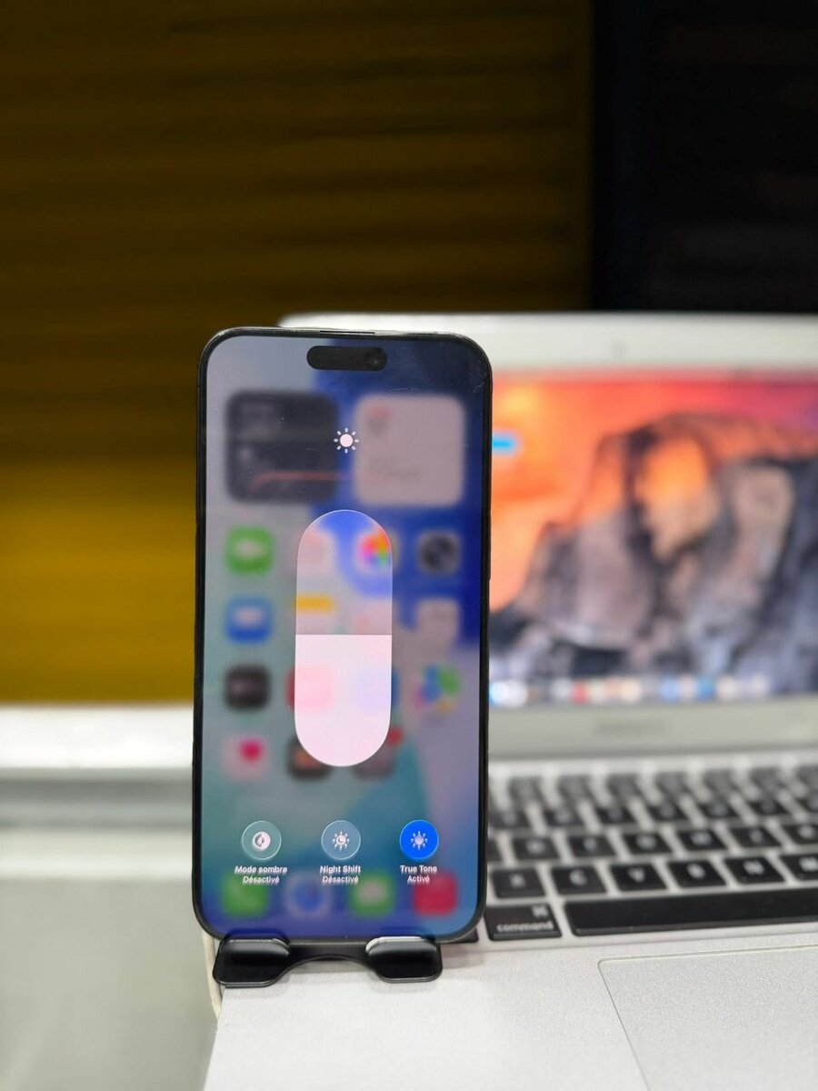 iPhone 15 Pro Max - 256 Go