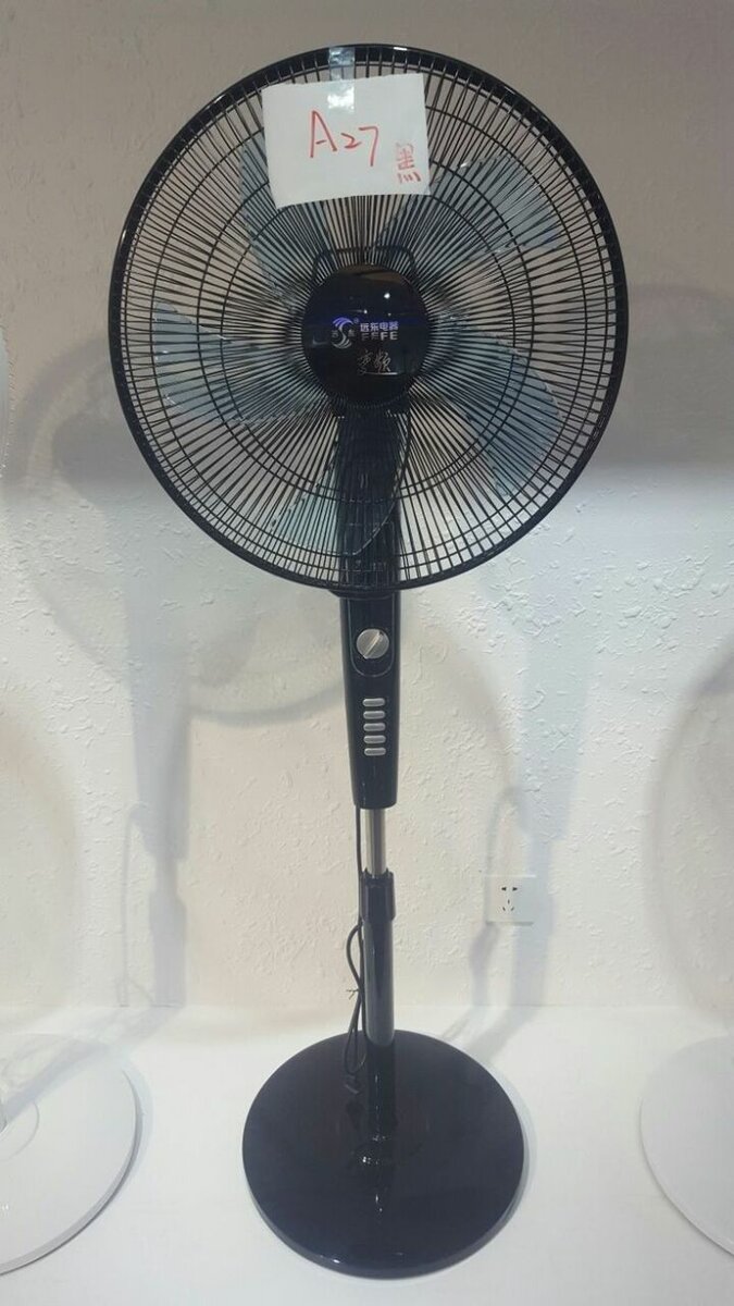 Fan