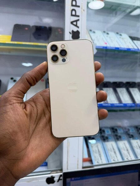 iPhone 12 Pro Max argent