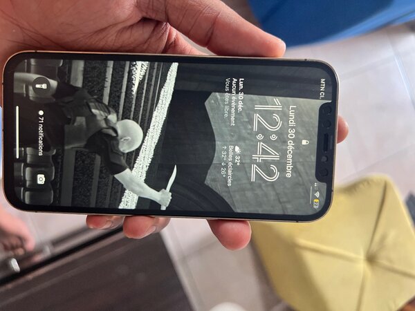 iPhone 12 Pro avec le carton