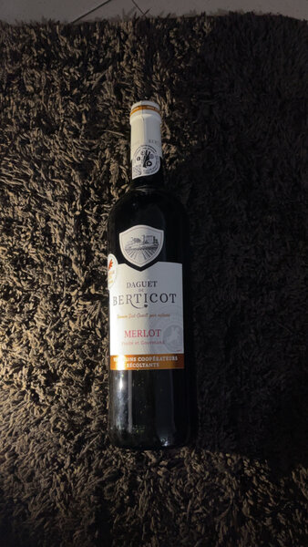 Vin Rouge BERTICOT Merlot