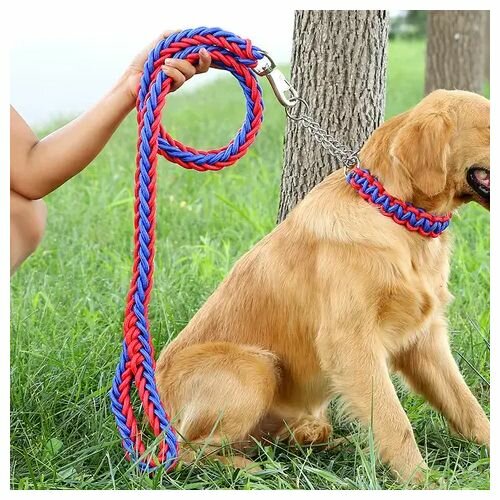 Laisse De Chien Robuste