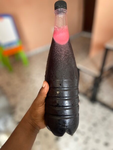 Jus de bissap nature