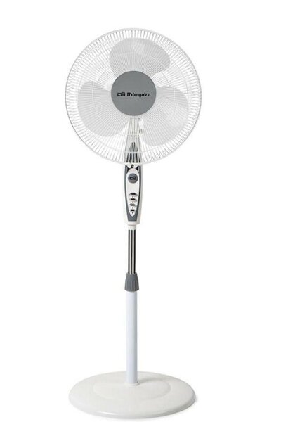 Standing fan