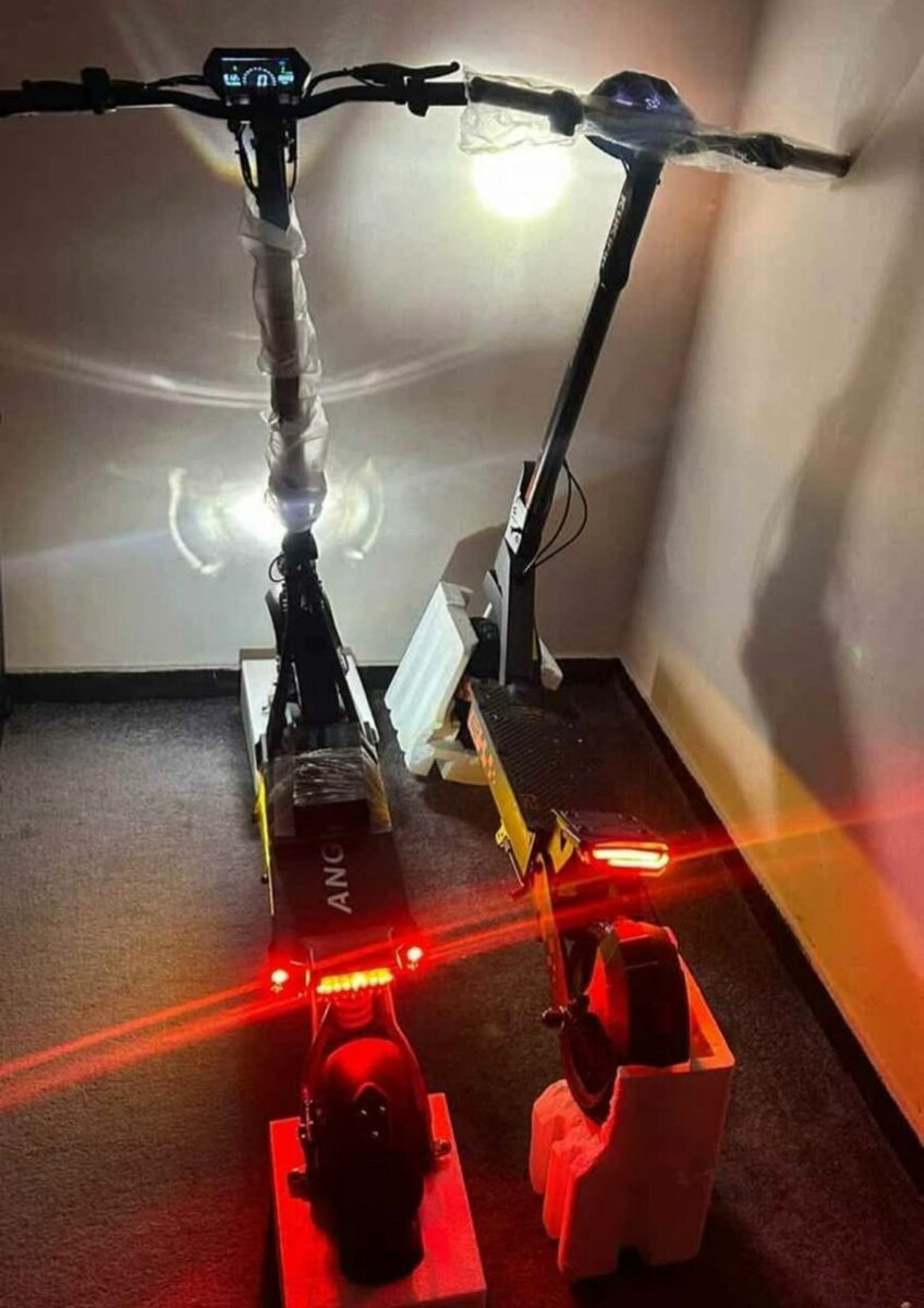 Trottinette Électrique Puissante