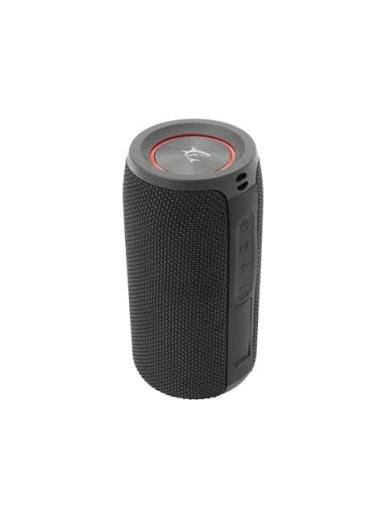 Enceinte Bluetooth Portable